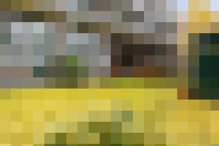 Image 20