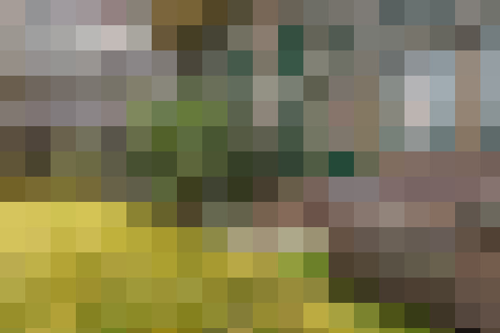 Image 23