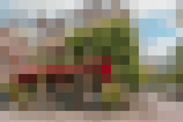 Image 20