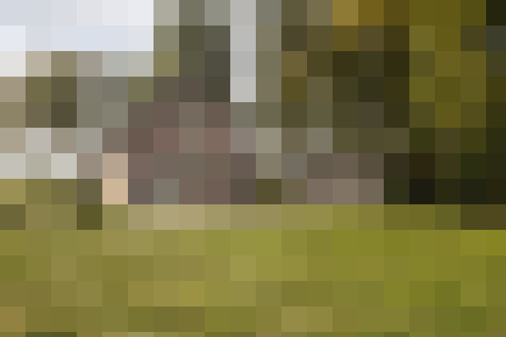 Image 14