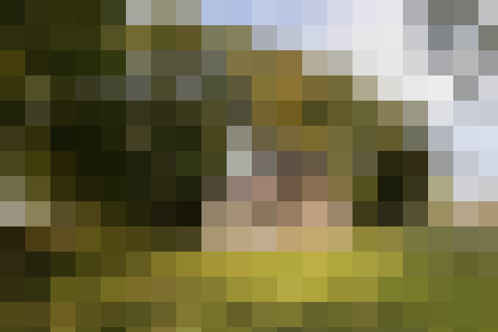 Image 16