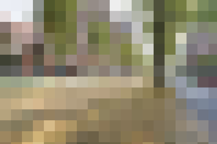 Image 18