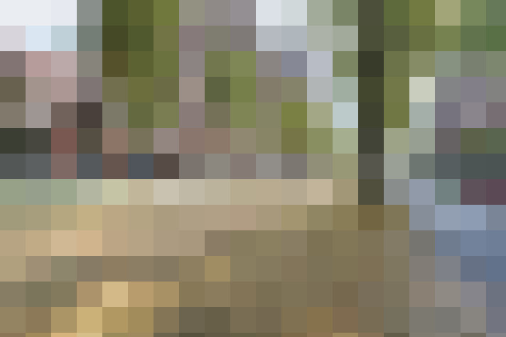 Image 23