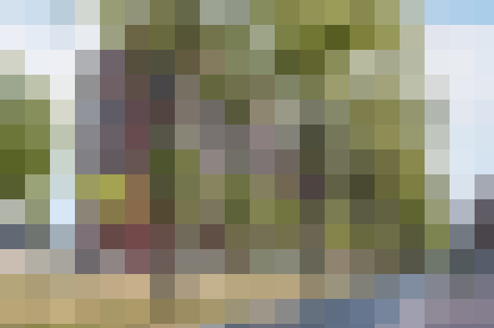 Image 22