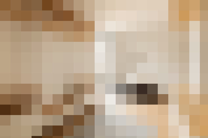 Image 30