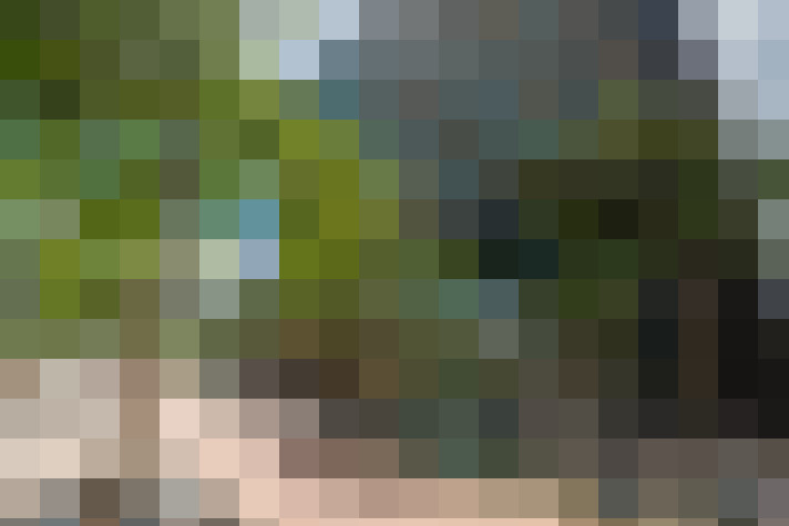Image 38