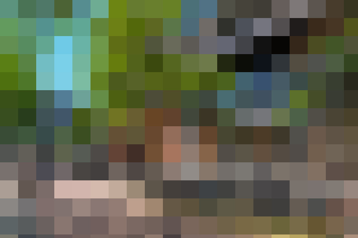 Image 39