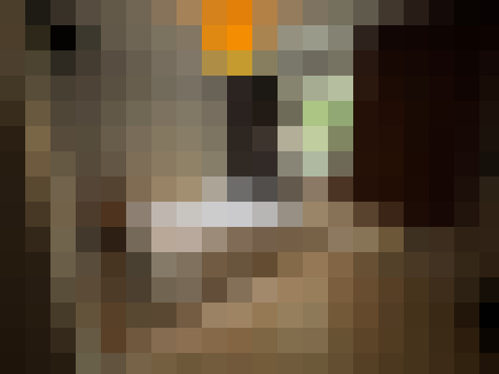 Image 18