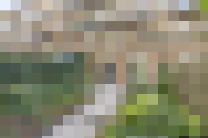 Image 18