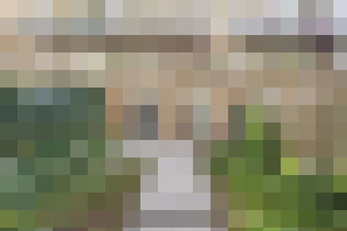 Image 17