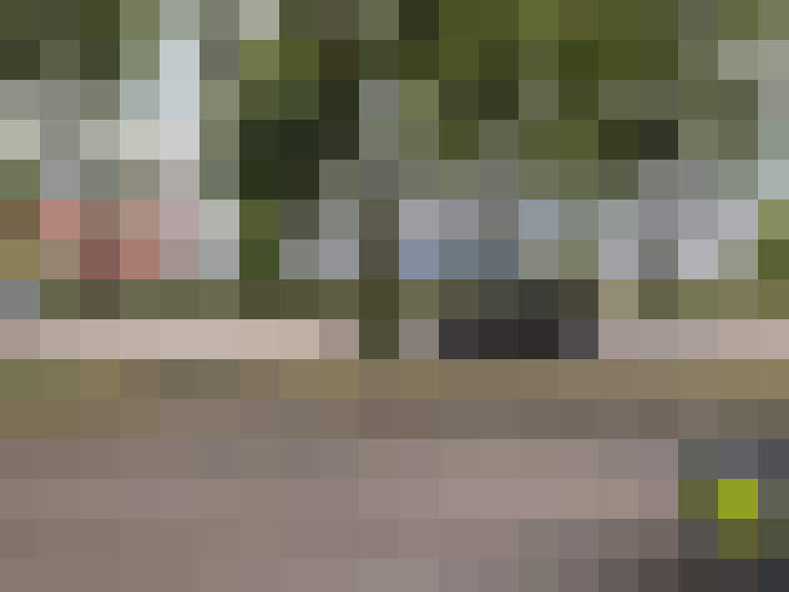 Image 22