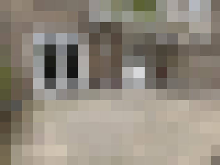 Image 20