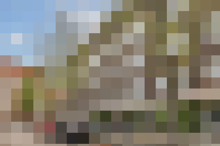 Image 13