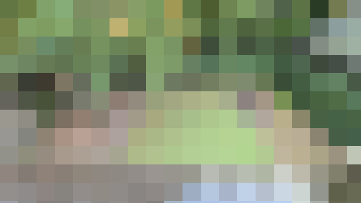 Image 24