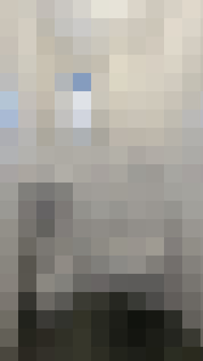 Image 29