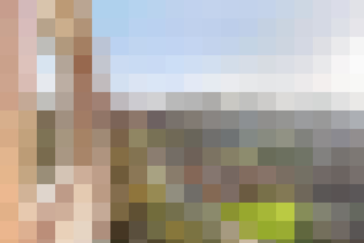 Image 17