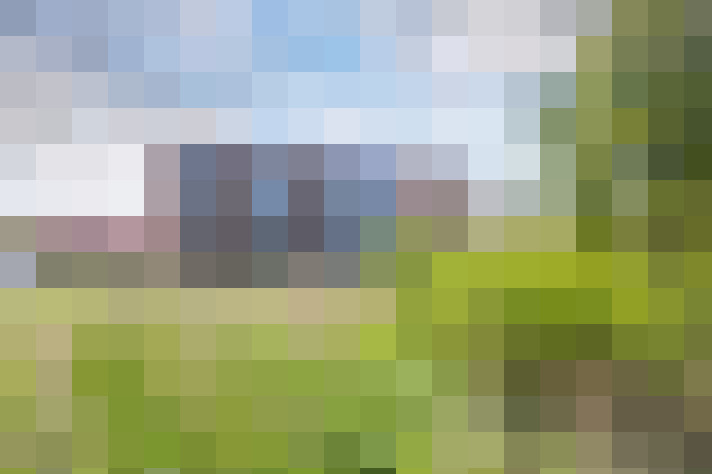 Image 30
