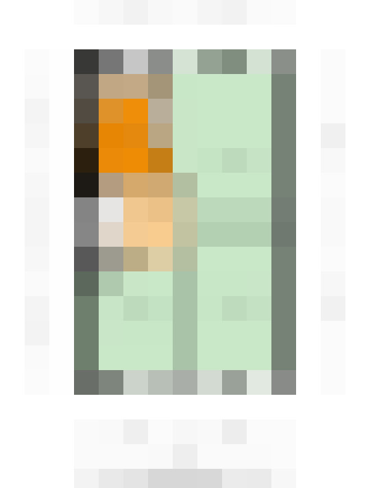 Image 48