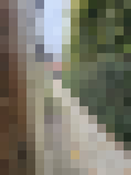 Image 22
