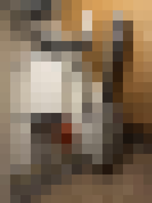 Image 38