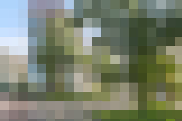 Image 16