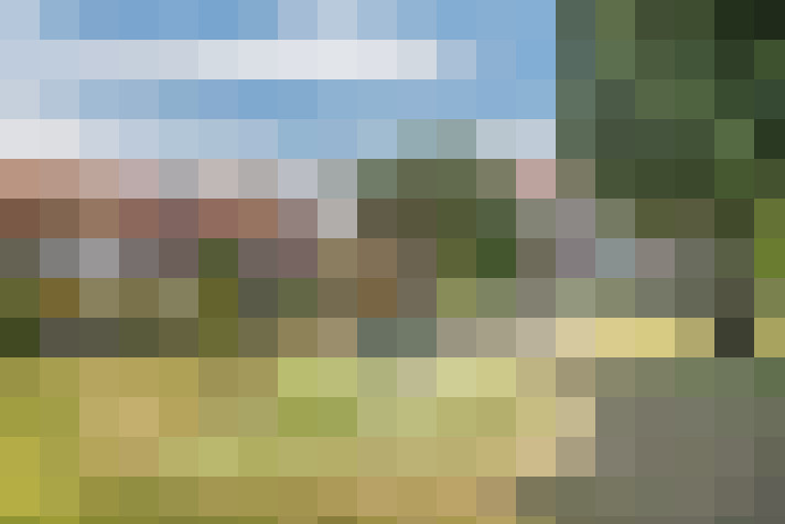 Image 22