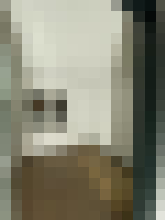 Image 13