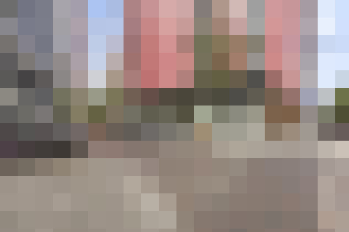 Image 22
