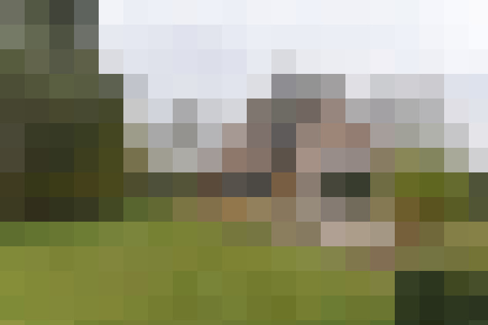 Image 17
