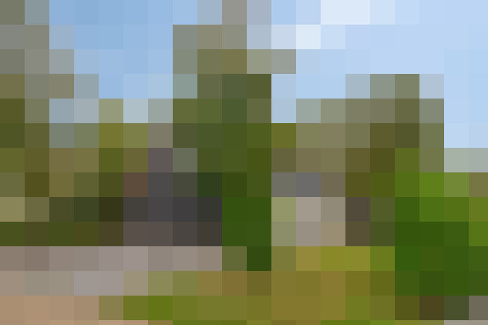 Image 36