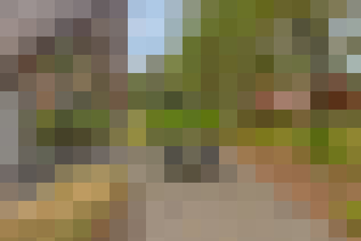 Image 38