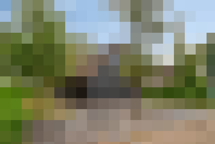 Image 34