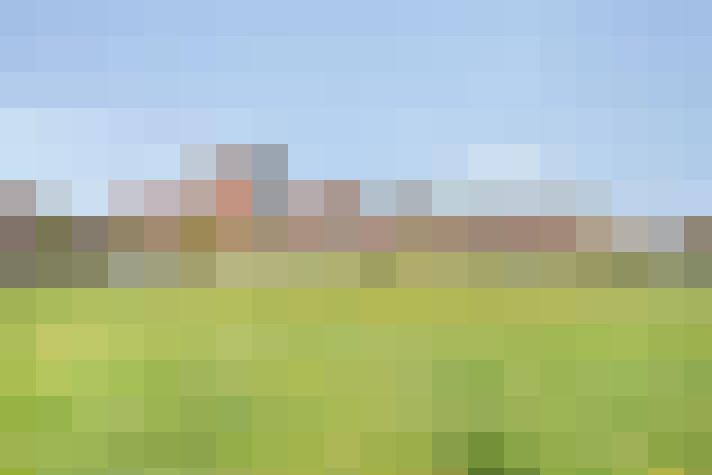 Image 37