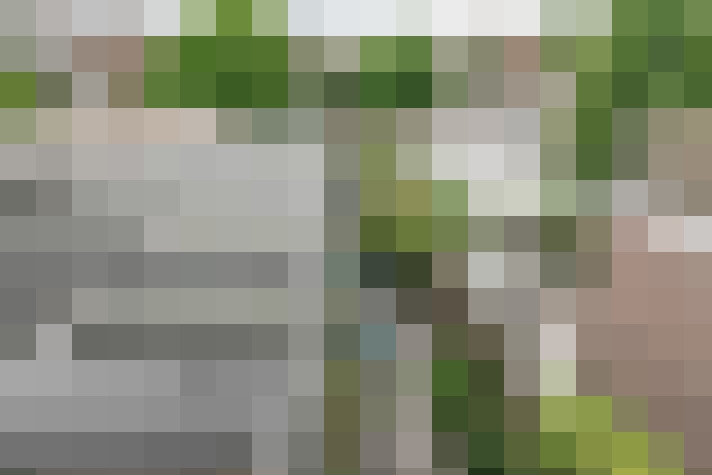 Image 30