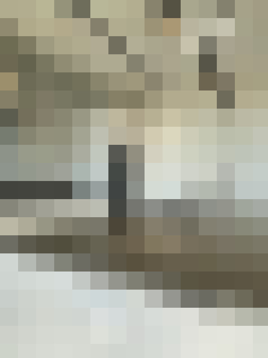 Image 14