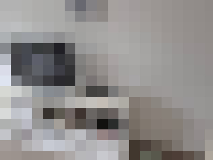 Image 21