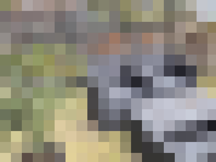 Image 29