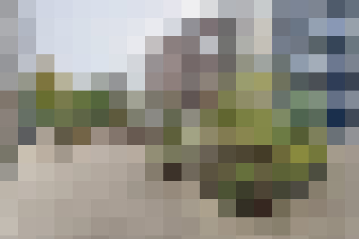 Image 38