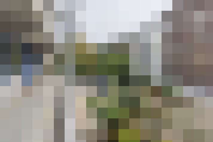 Image 33