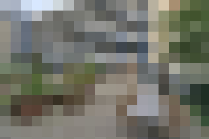 Image 31