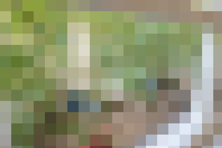 Image 17