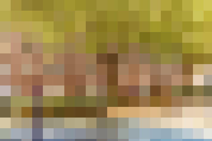 Image 50