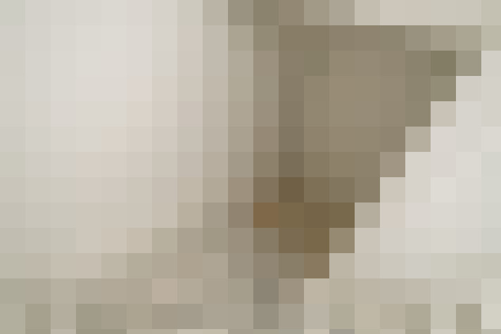 Image 43