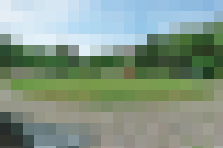 Image 17