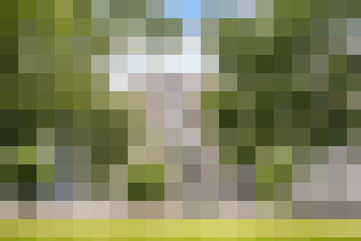 Image 20