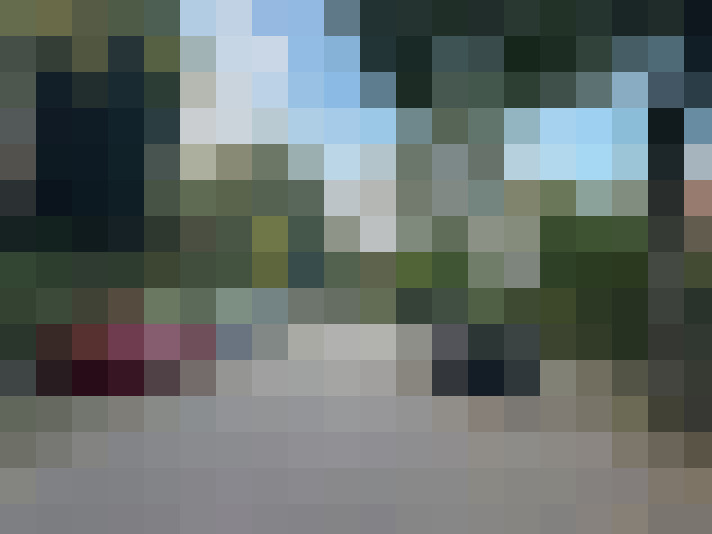 Image 24