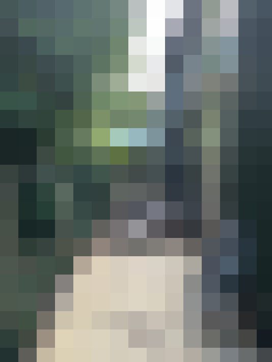 Image 20