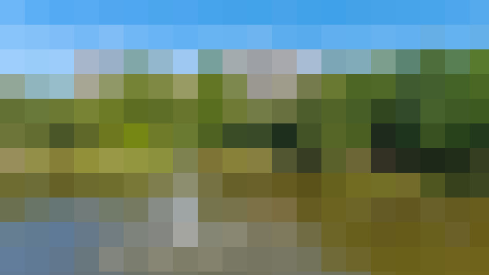 Image 21