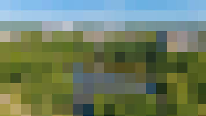 Image 23