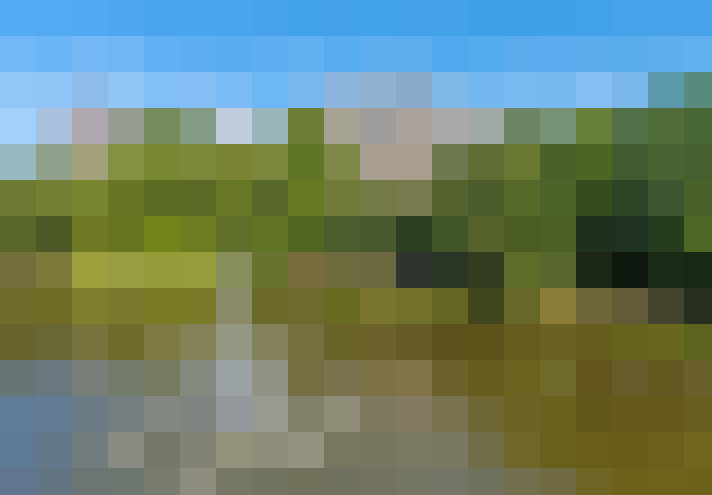 Image 13